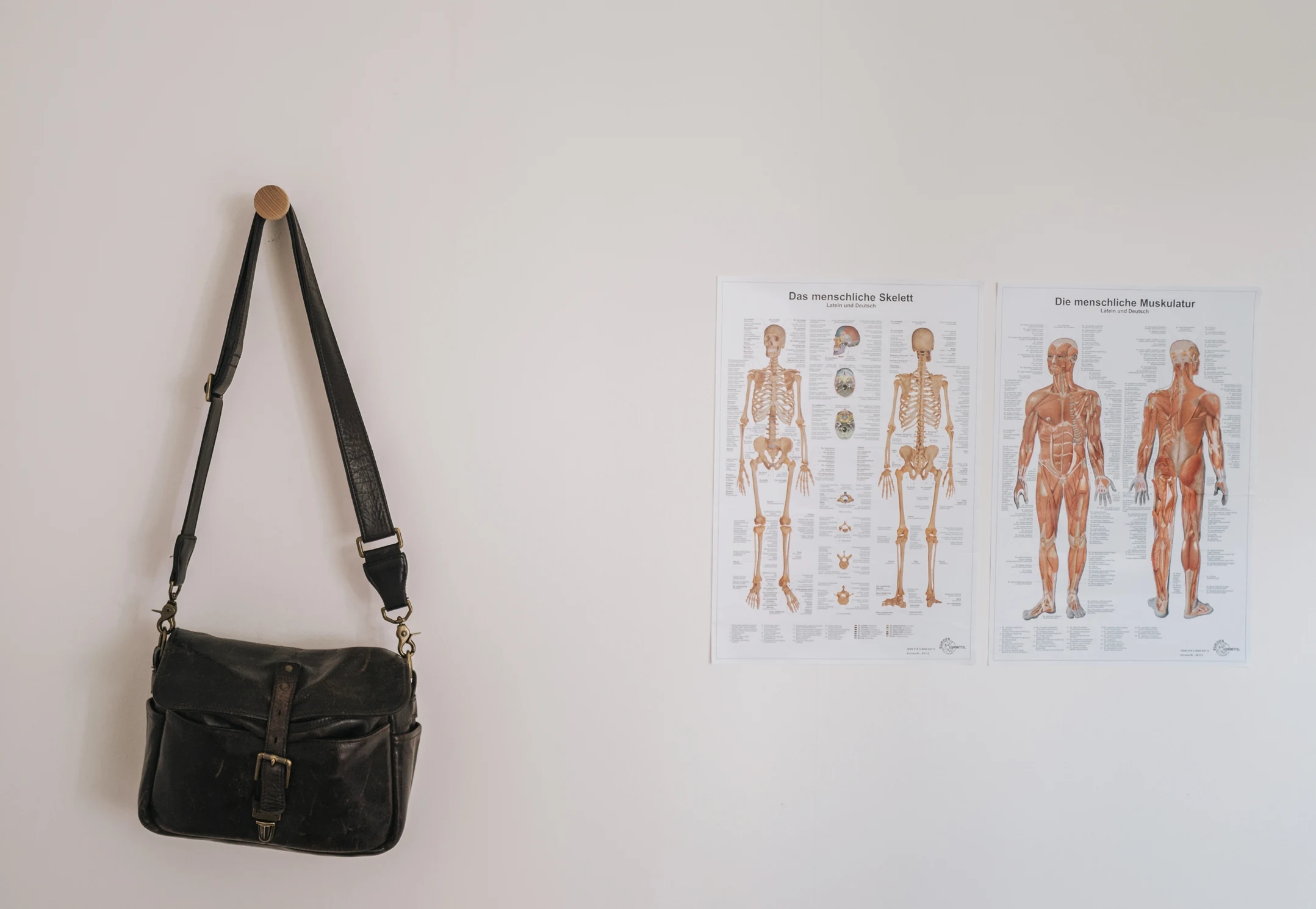 Anatomische Darstellungen in der Praxis