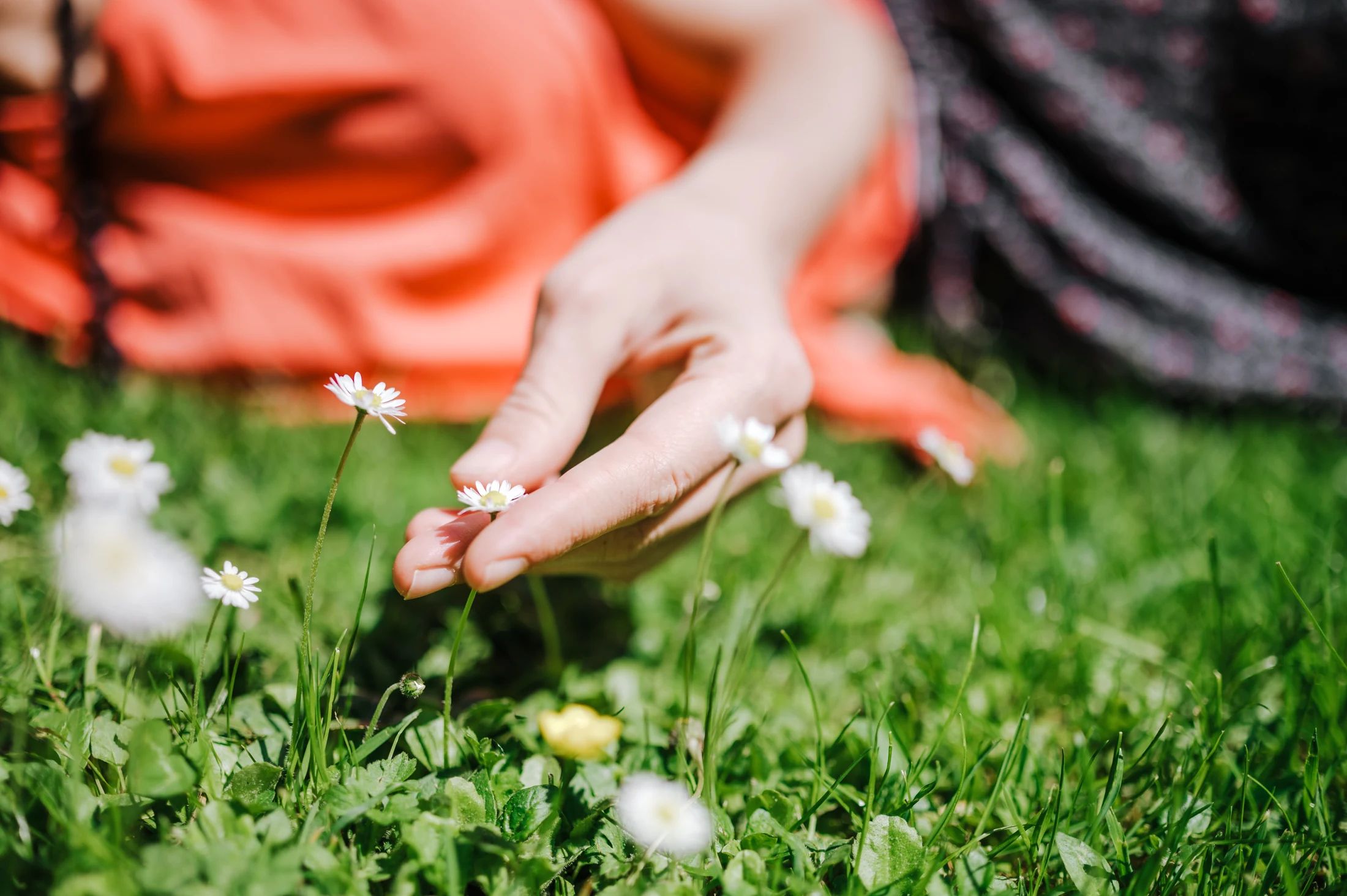 Hand zwischen Blumen